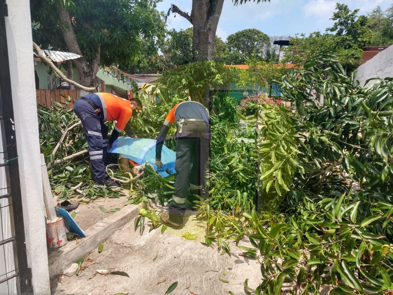 WhatsApp Image 2021-06-23 at 4.47.08 PM (1)