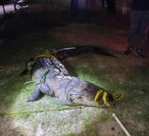 WhatsApp Image 2021-06-24 at 12.35.00 PM