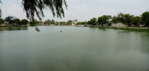 WhatsApp Image 2021-06-24 at 5.32.13 PM