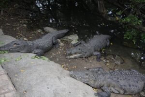 WhatsApp Image 2021-06-30 at 3.15.49 PM