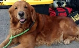 WhatsApp Image 2021-06-30 at 3.40.30 PM