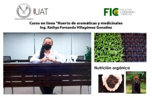 collage FIC 12 06 2021