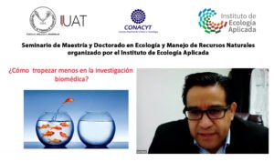 collage instituto de ecología 13 06 2021