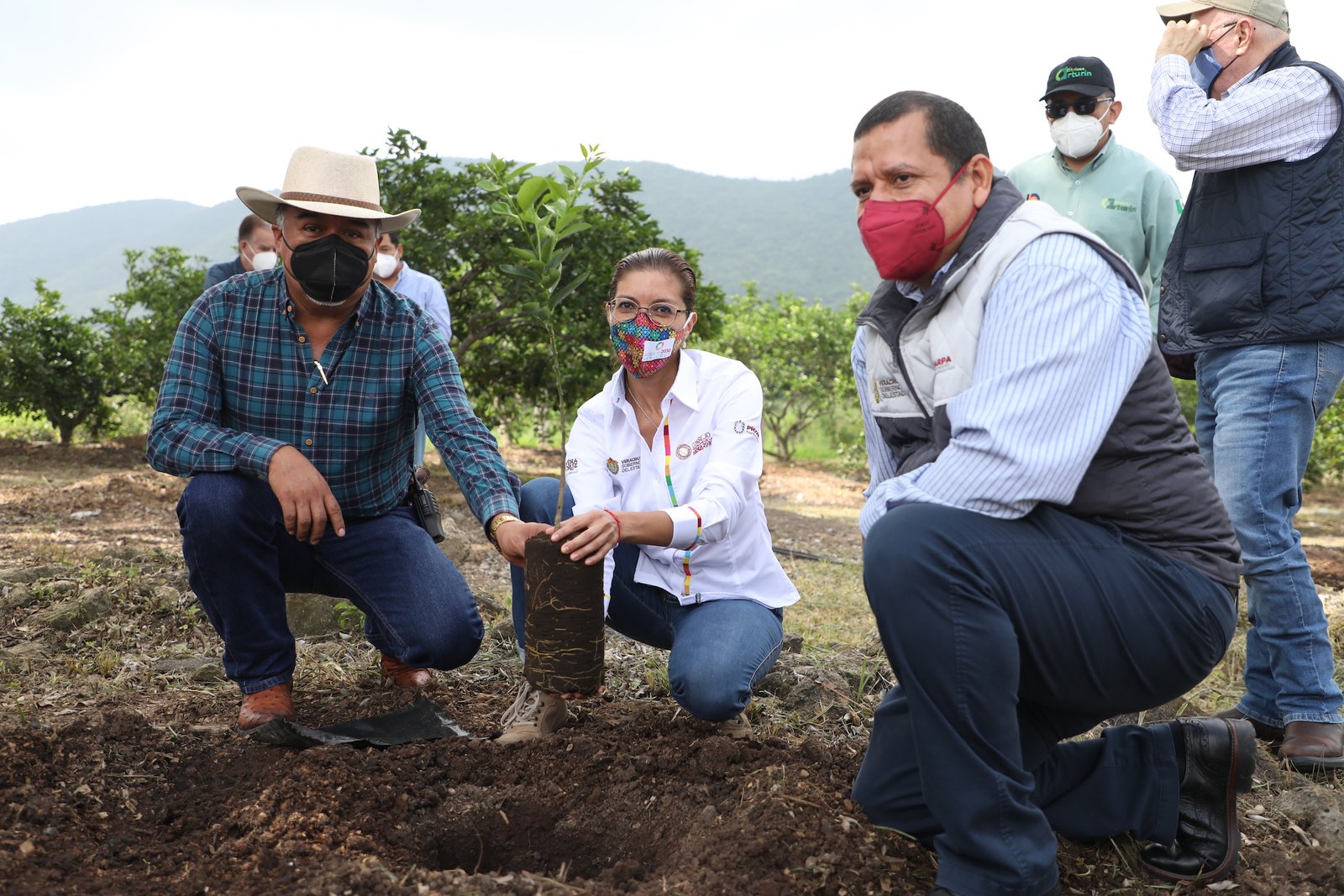 EMPACADORA DE CÍTRICOS (2)