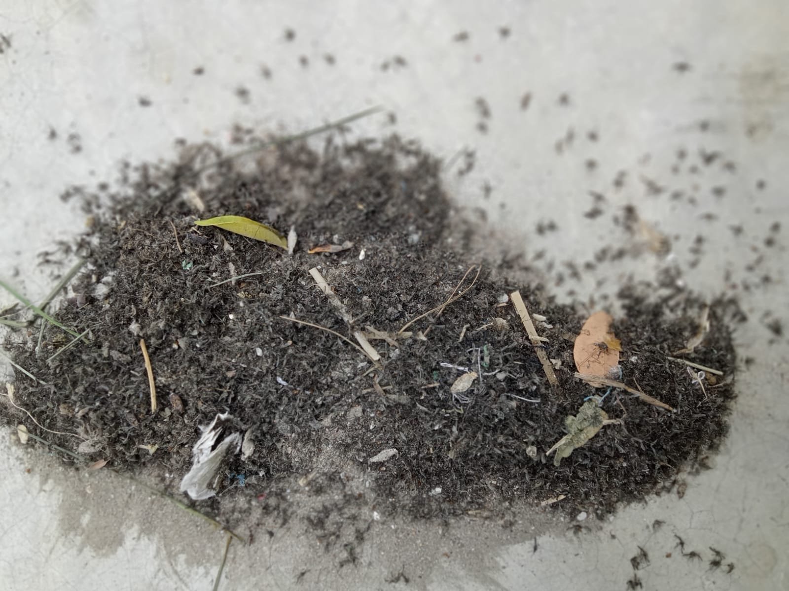 WhatsApp Image 2021-07-04 at 2.37.38 PM