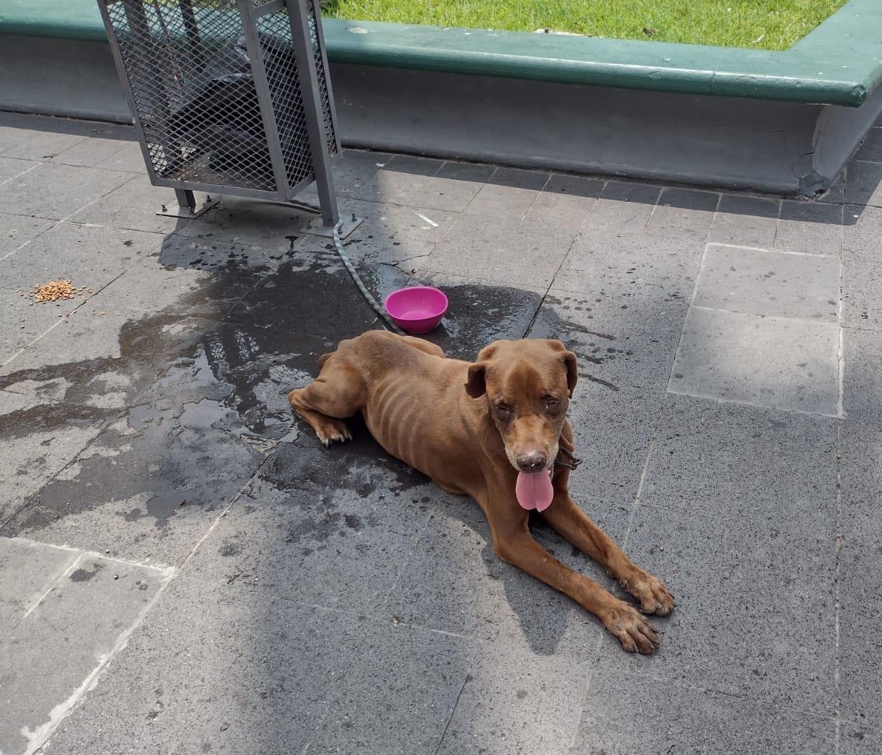 WhatsApp Image 2021-07-05 at 2.58.53 PM