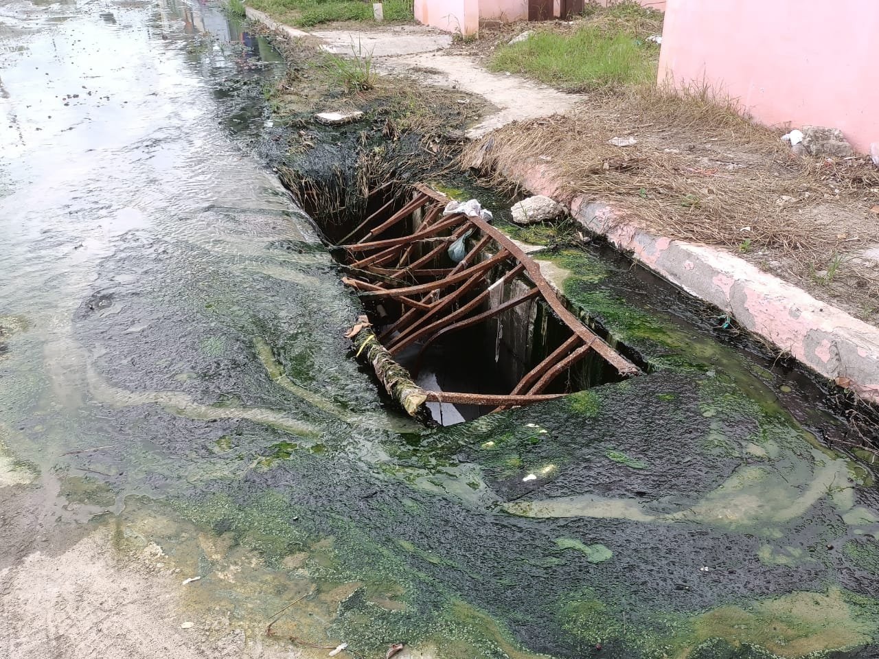 WhatsApp Image 2021-07-06 at 4.21.54 PM