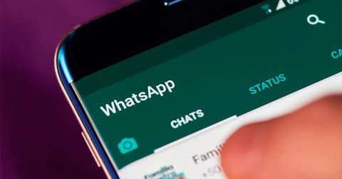 WhatsApp Image 2021-07-08 at 1.33.55 PM