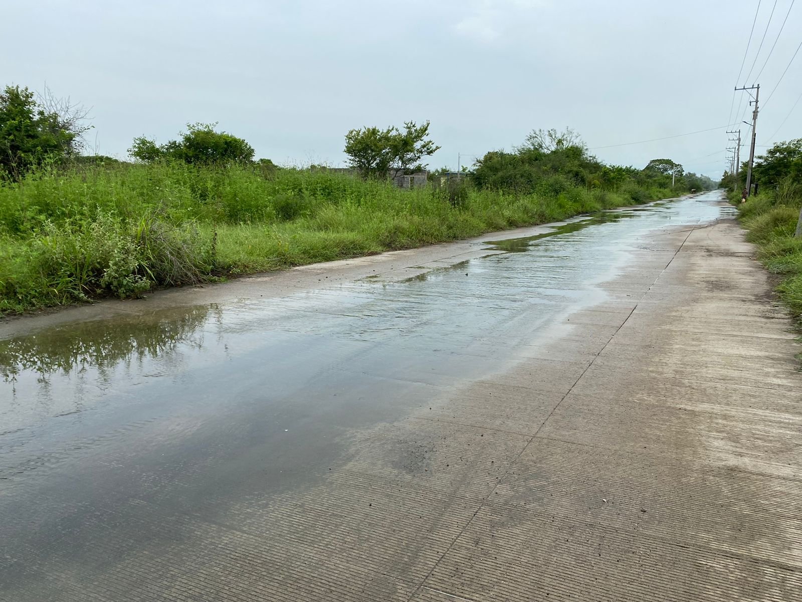 WhatsApp Image 2021-07-08 at 6.30.28 PM