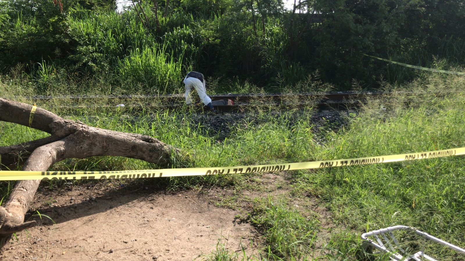 WhatsApp Image 2021-07-14 at 10.43.36 AM