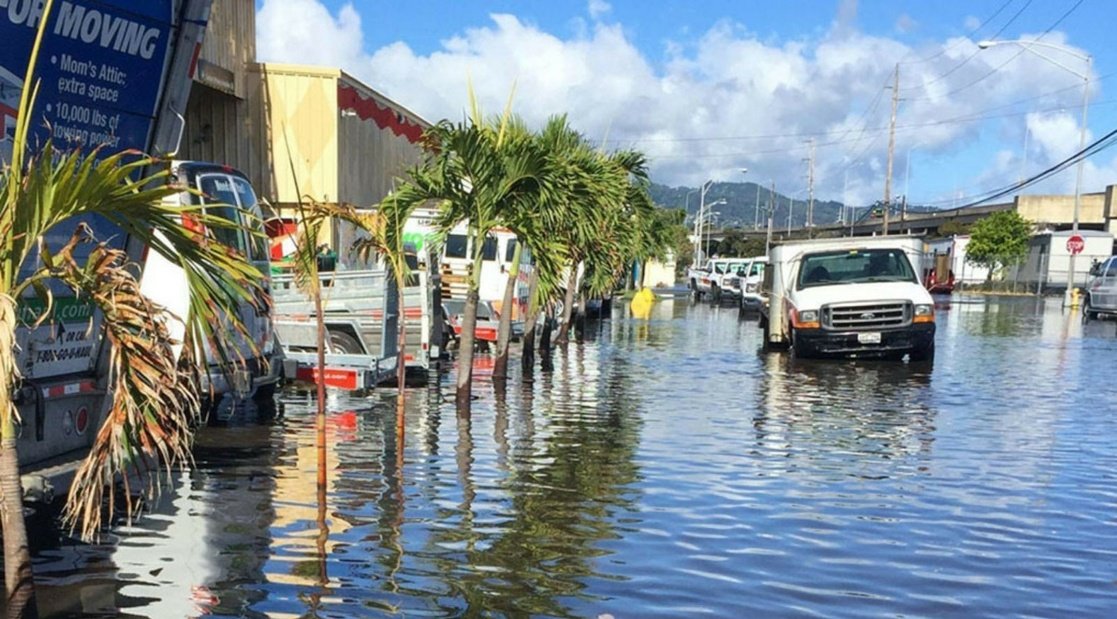 WhatsApp Image 2021-07-16 at 2.50.15 PM