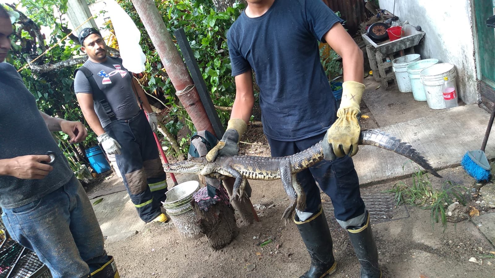 WhatsApp Image 2021-07-16 at 5.56.52 PM