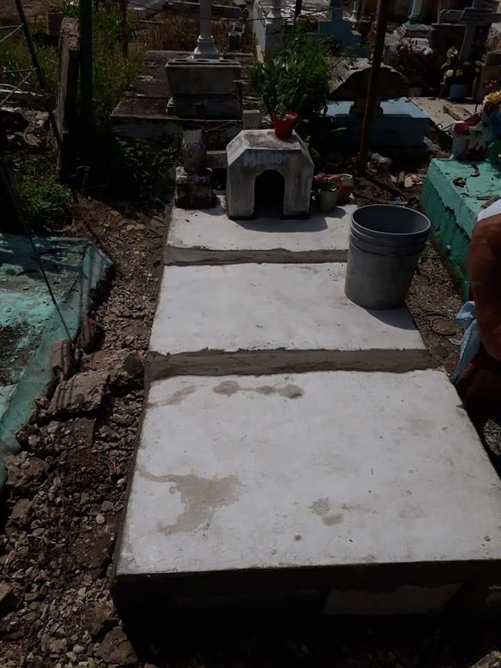 WhatsApp Image 2021-07-19 at 11.45.55 AM