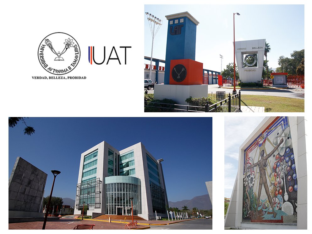 Collage reanudan actividaes 08 08 2021