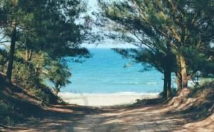 WhatsApp Image 2021-08-02 at 2.53.45 PM