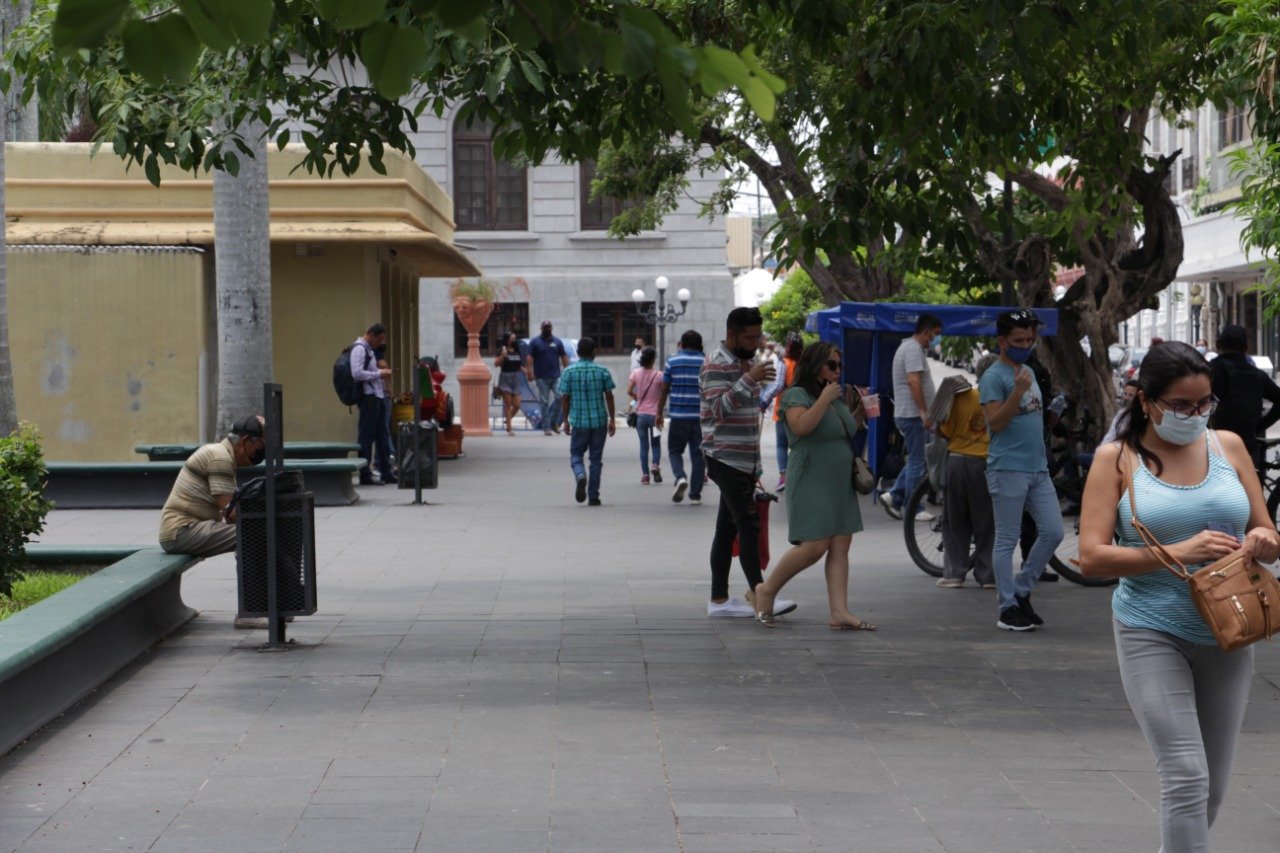 WhatsApp Image 2021-08-03 at 12.56.32 PM