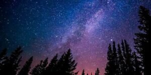 WhatsApp Image 2021-08-11 at 5.15.24 PM