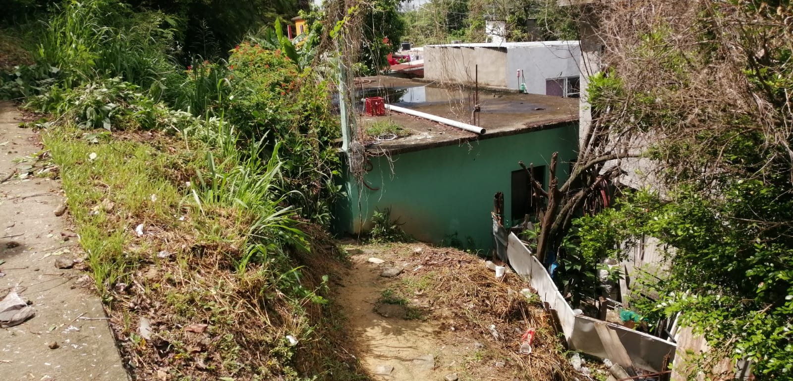 WhatsApp Image 2021-08-18 at 3.47.05 PM