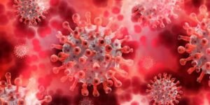 WhatsApp Image 2021-08-20 at 12.59.17 PM