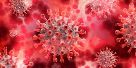 WhatsApp Image 2021-08-20 at 12.59.17 PM