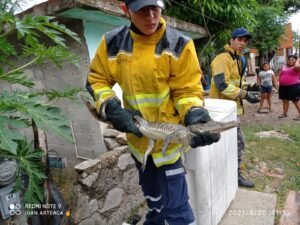 WhatsApp Image 2021-08-23 at 6.23.56 PM