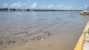 WhatsApp Image 2021-08-25 at 1.43.45 PM