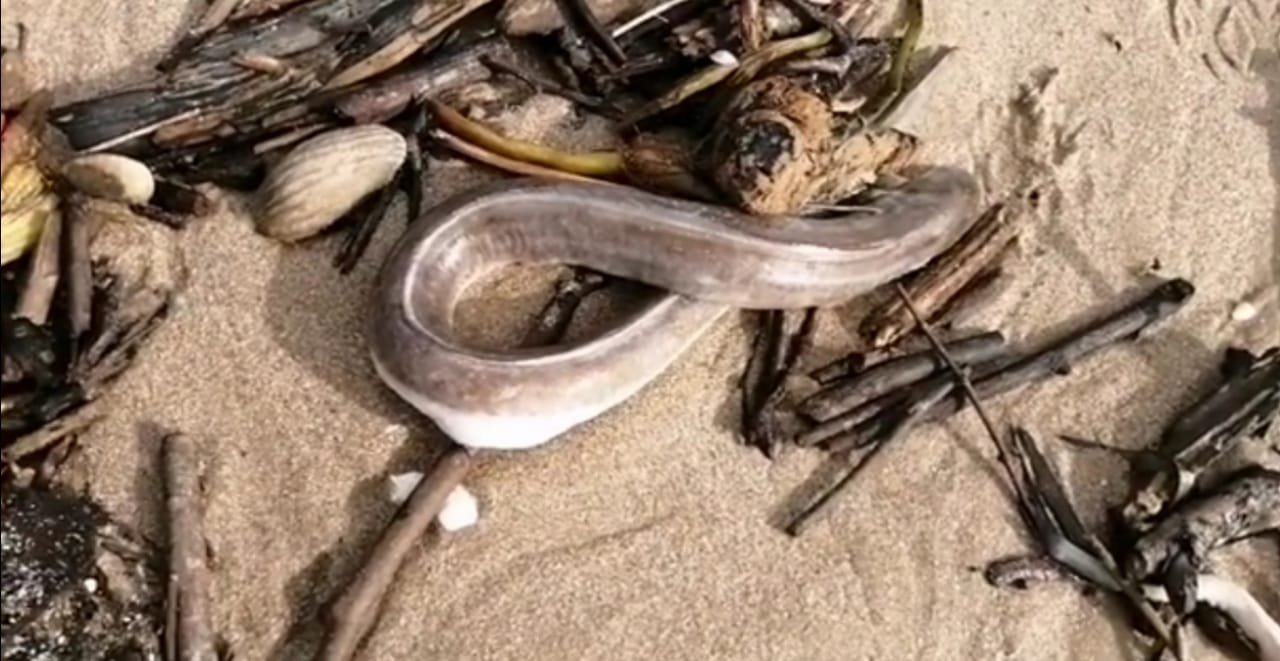 WhatsApp Image 2021-08-26 at 5.56.31 PM