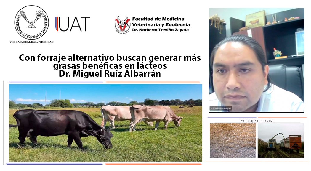 veterinaria 14 08 2021 (1)