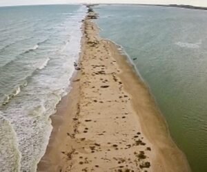 WhatsApp Image 2021-09-01 at 3.46.46 PM