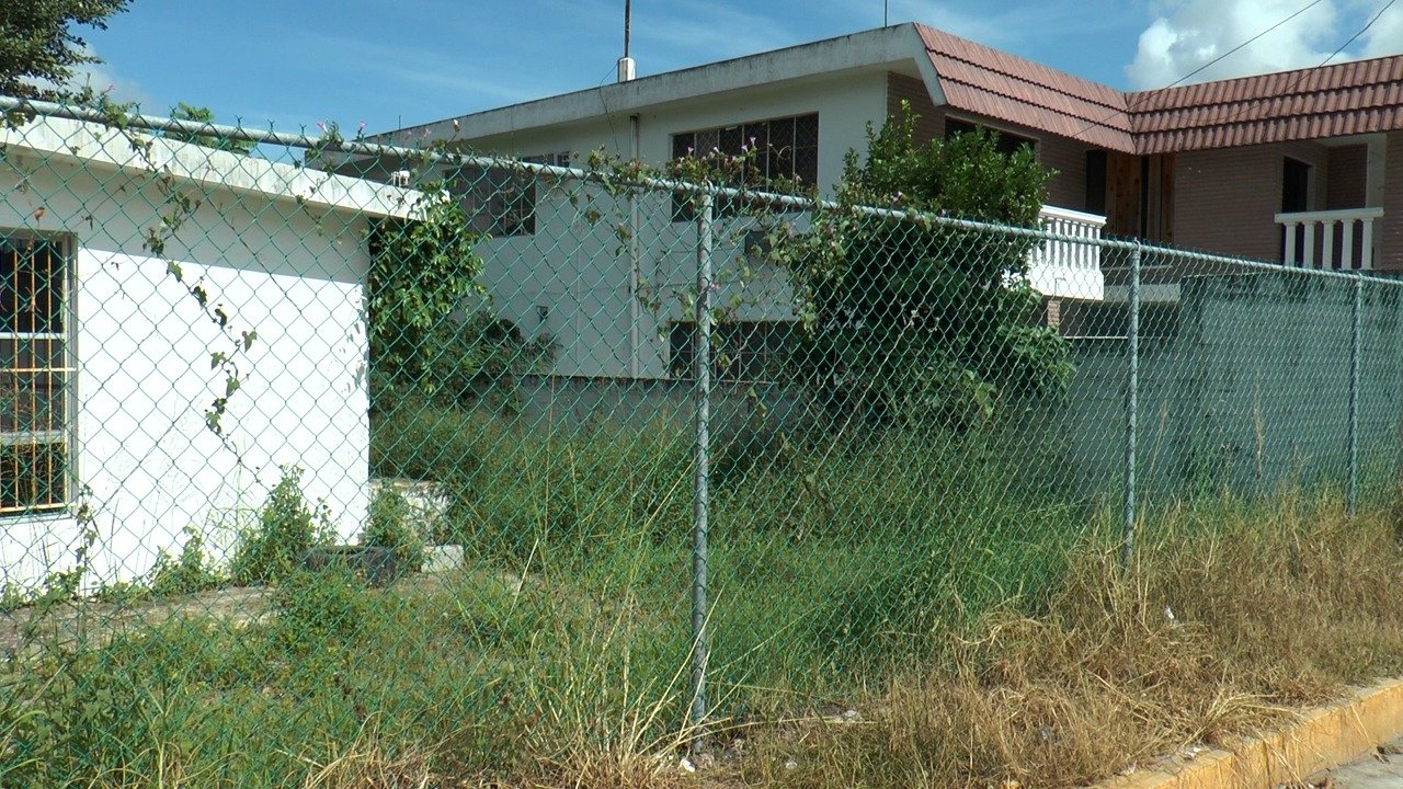 WhatsApp Image 2021-09-08 at 4.07.29 PM