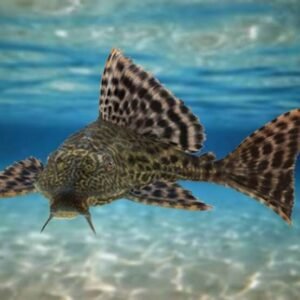 WhatsApp Image 2021-09-14 at 6.03.09 PM