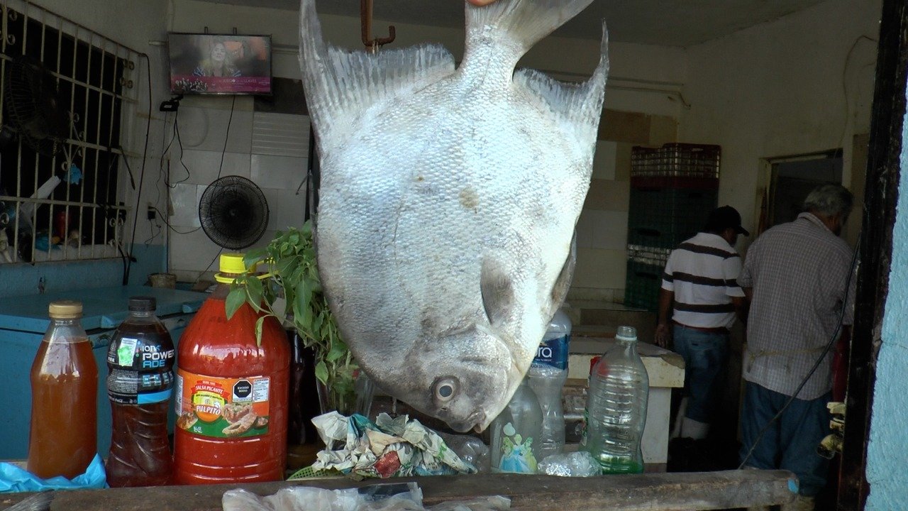 WhatsApp Image 2021-09-17 at 6.21.39 PM