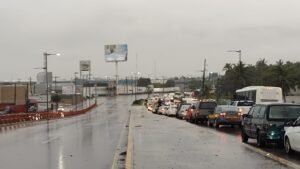 WhatsApp Image 2021-09-30 at 12.53.36 PM