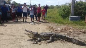 WhatsApp Image 2021-09-30 at 6.31.59 PM