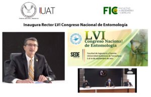 entomologia 06 09 2021
