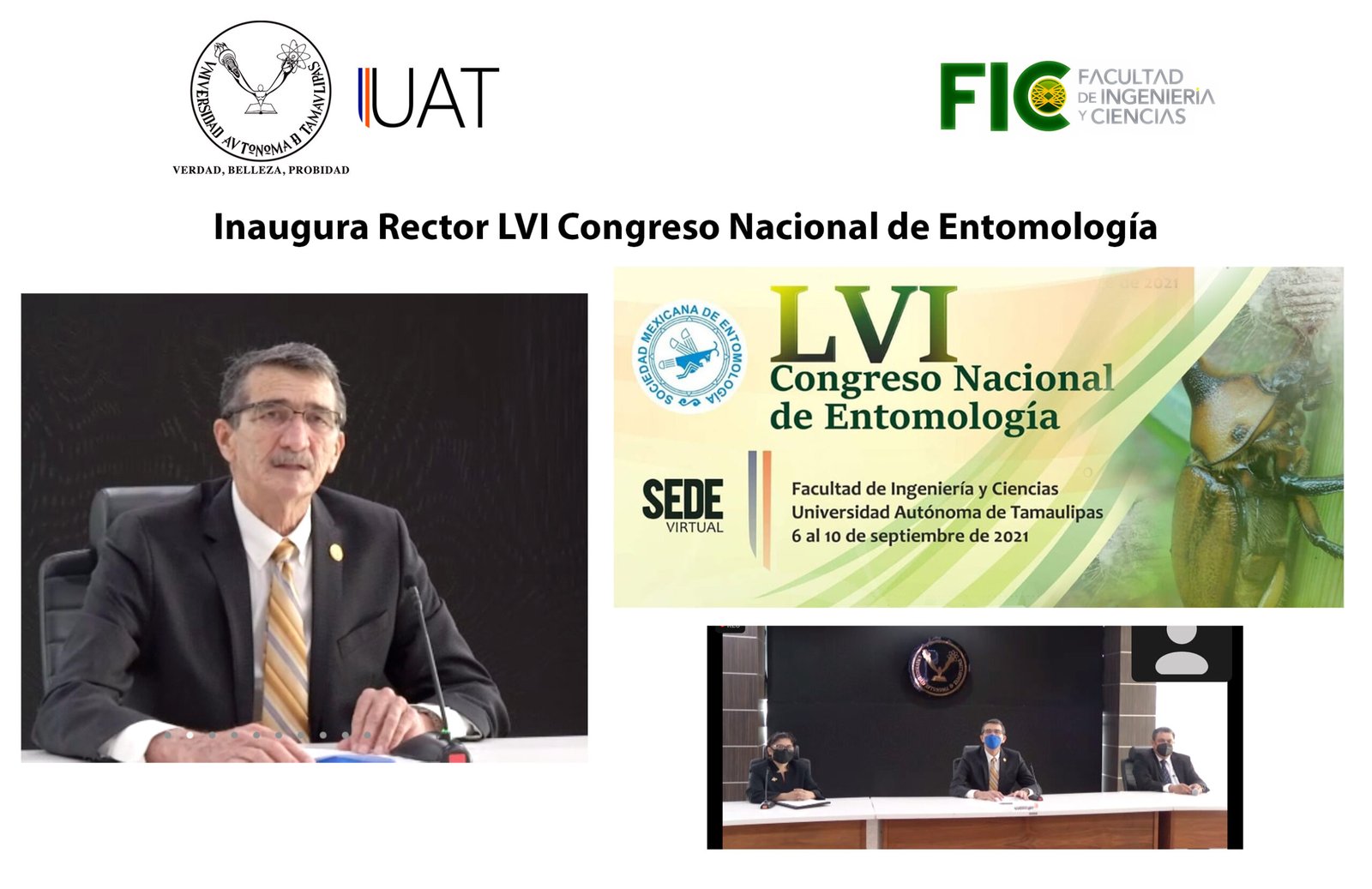 entomologia 06 09 2021