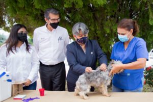 foto 4 día mundial de la rabia 28 09 2021