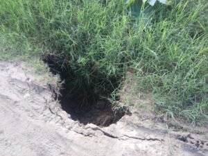 WhatsApp Image 2021-10-05 at 2.15.11 PM