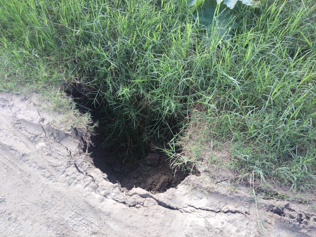 WhatsApp Image 2021-10-05 at 2.15.11 PM