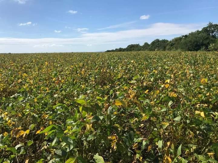 WhatsApp Image 2021-10-21 at 2.54.34 PM