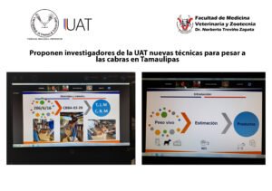 tecnicas para pesar a las cabras 01 20 2021