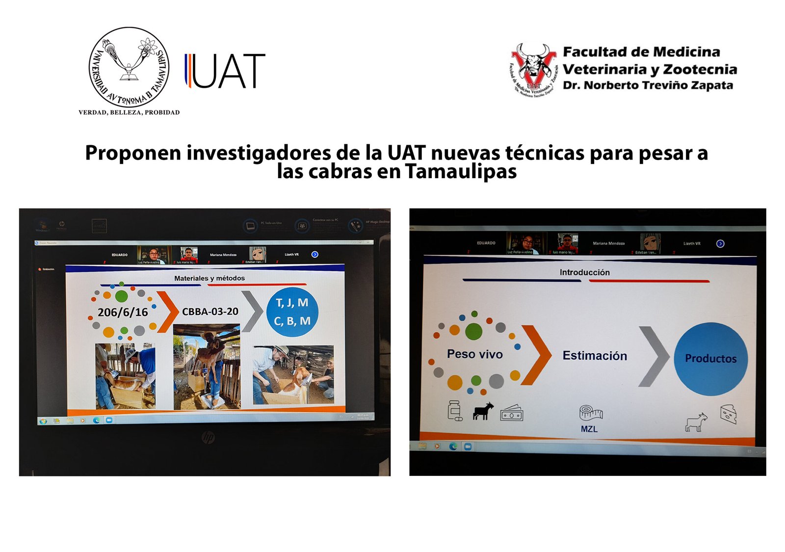 tecnicas para pesar a las cabras 01 20 2021