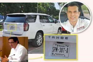 COMPOSICION ERASMO Y GATTAS