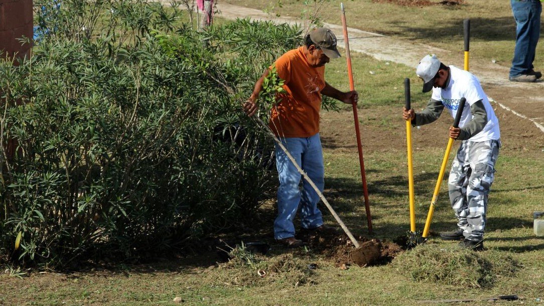 SDU-028-2021.-Impulsa Tamaulipas acciones para revertir cambio climático (2)