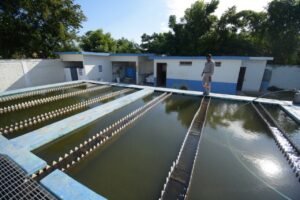 WhatsApp Image 2021-11-09 at 3.52.08 PM