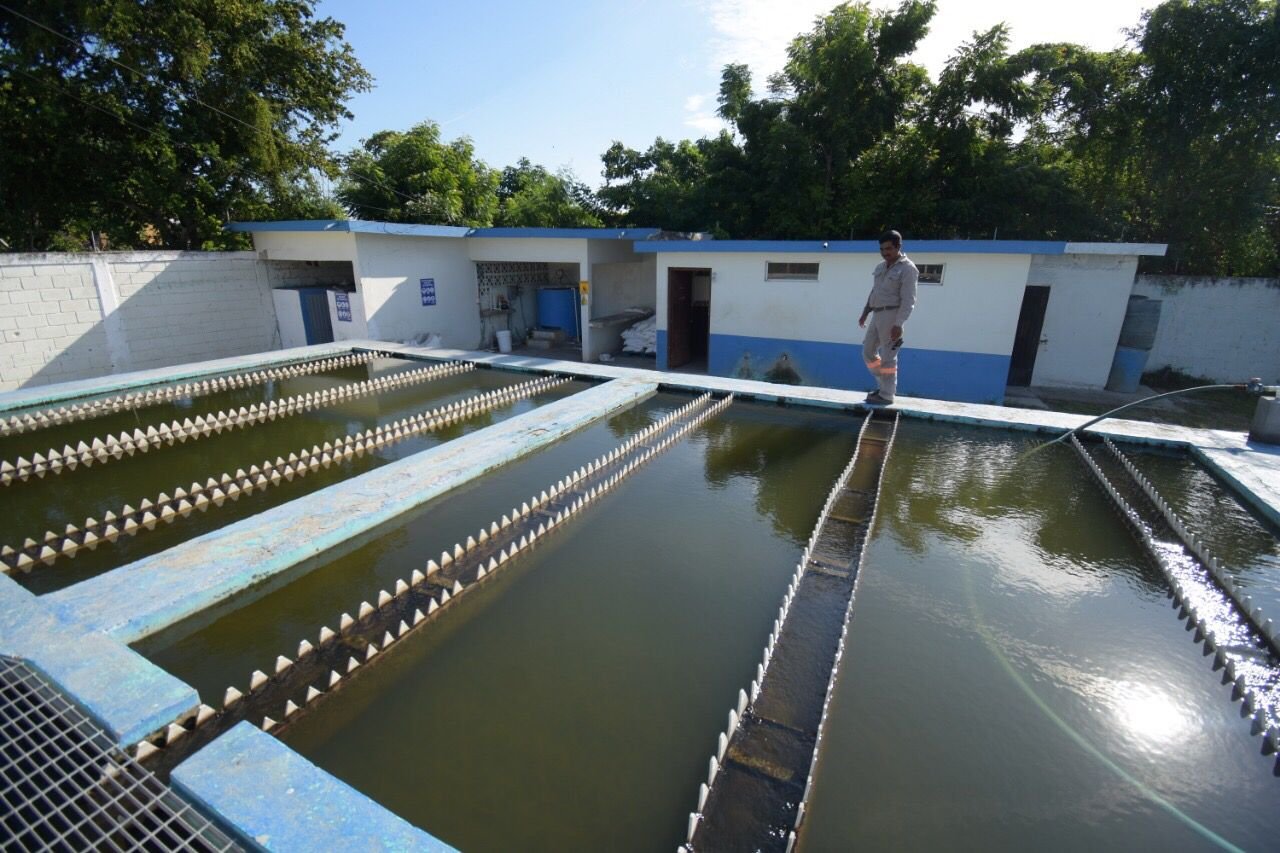 WhatsApp Image 2021-11-09 at 3.52.08 PM