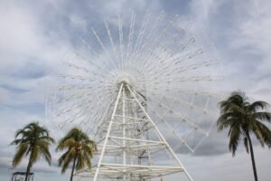 WhatsApp Image 2021-11-17 at 2.42.39 PM