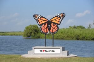 WhatsApp Image 2021-11-24 at 3.33.29 PM