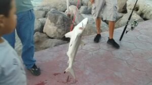 WhatsApp Image 2021-11-26 at 5.03.52 PM