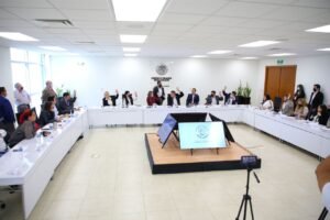 Análisis Ley Austeridad